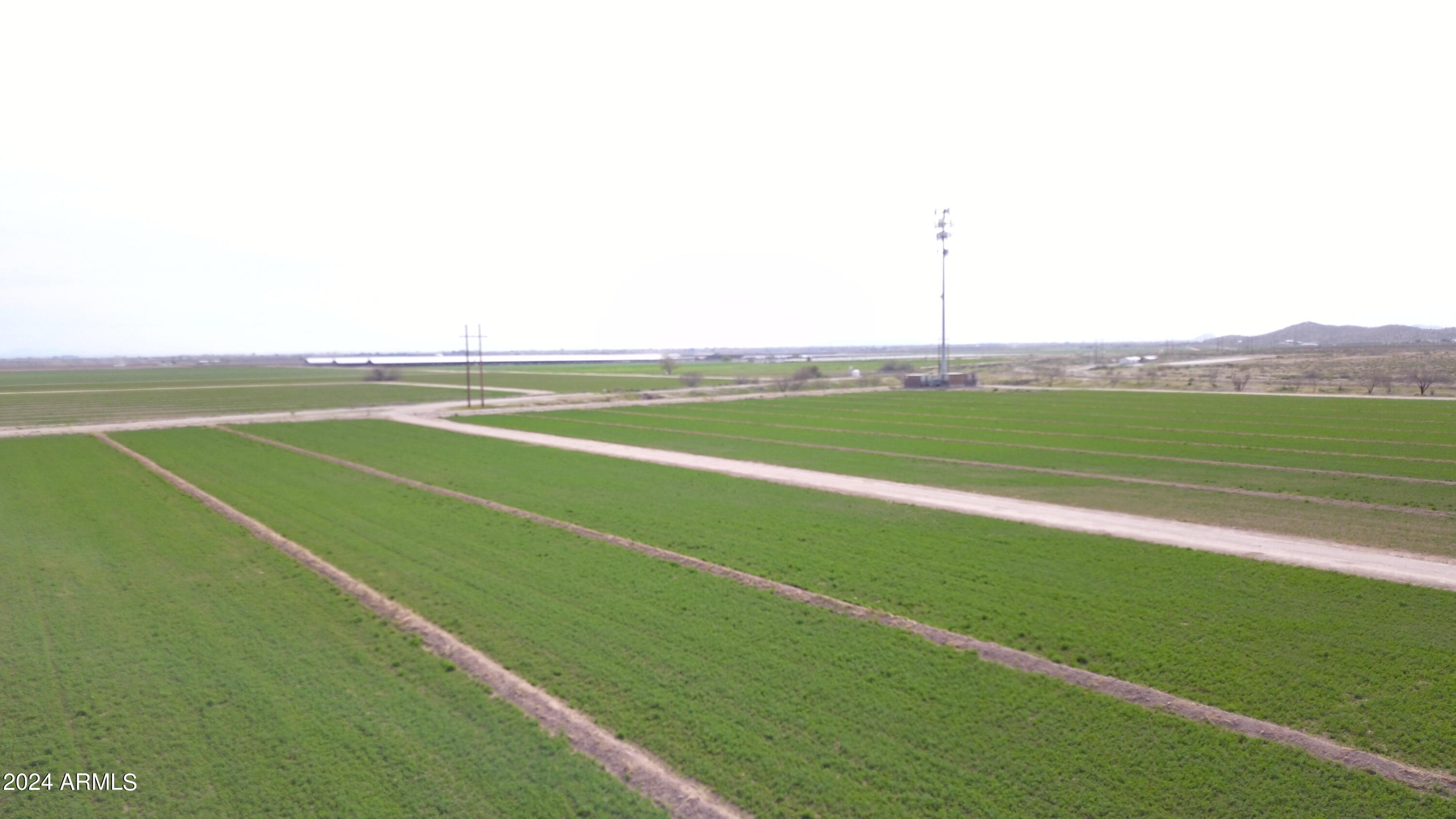 Excellent redevelopment opportunity! Felix Family Farm consists of 147.96 acres of land, 106 acres of which is irrigated crop. 1,330 feet of frontage along Hunt Highway. may be purchased as a package or separately. Property includes 1,000GPM irrigation well. Cell tower lease on property to convey with sale. Includes adjacent parcels 200-29-005G, 200-29-005F, 200-29-006A, 200-030-005J.
