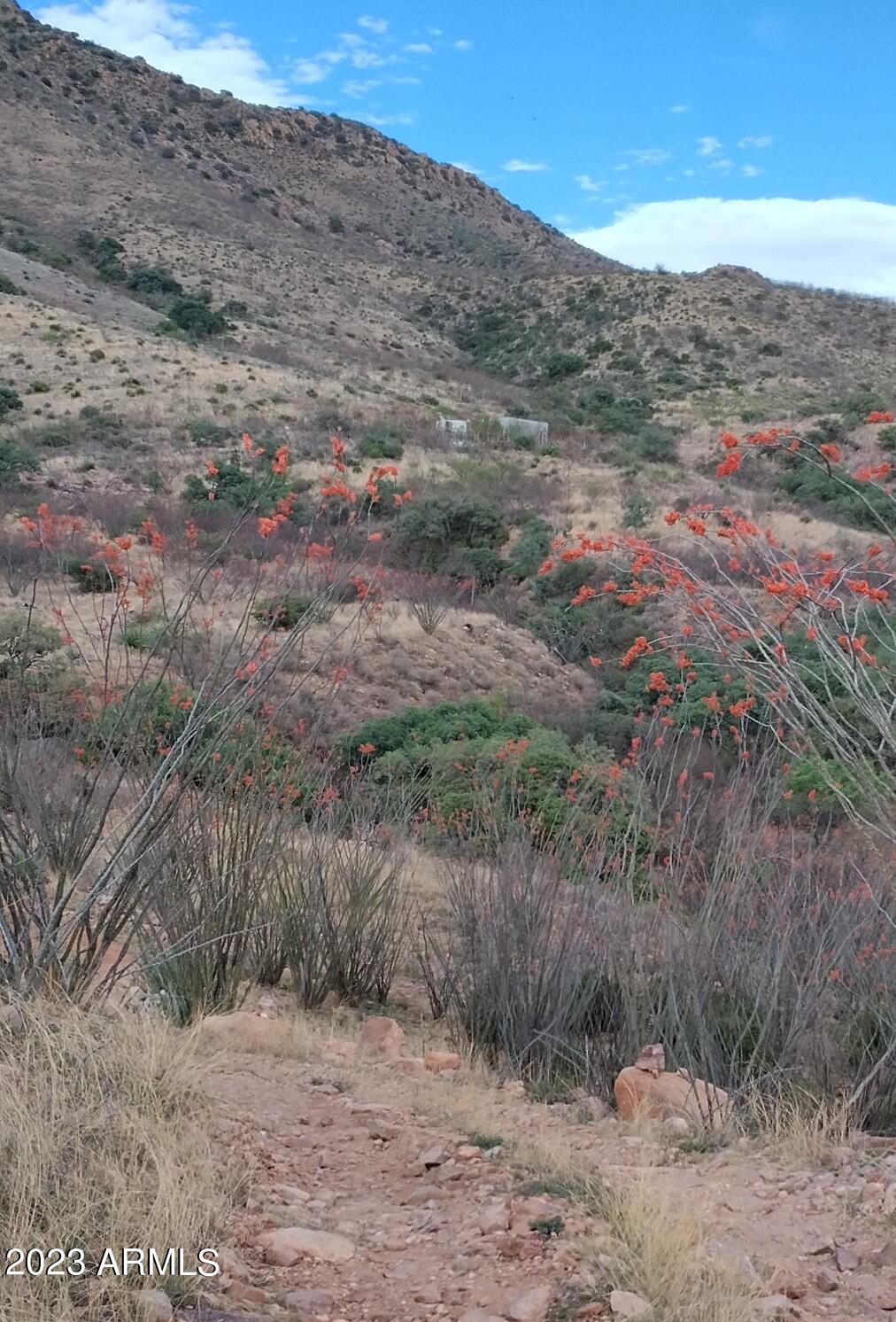 RIO VISTA - Land