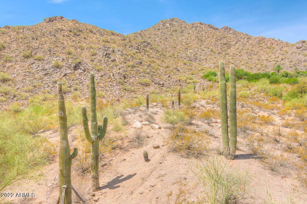 CAMEL DALE PROPERTIES - Land