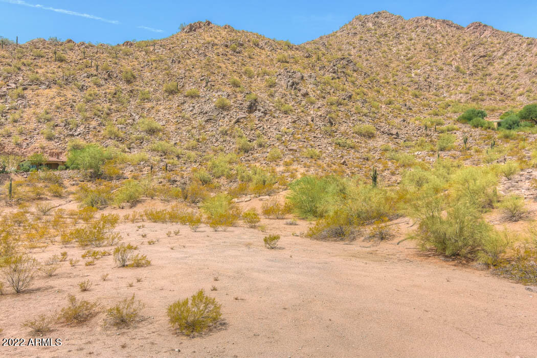 CAMEL DALE PROPERTIES - Land