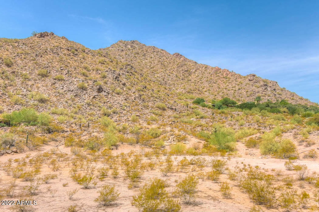 CAMEL DALE PROPERTIES - Land