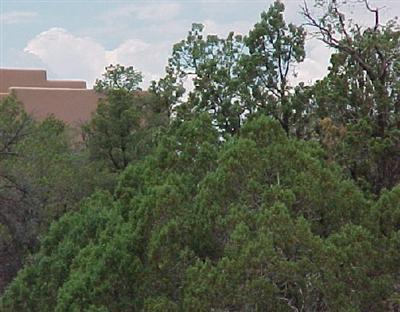 5 Acres or More - Land
