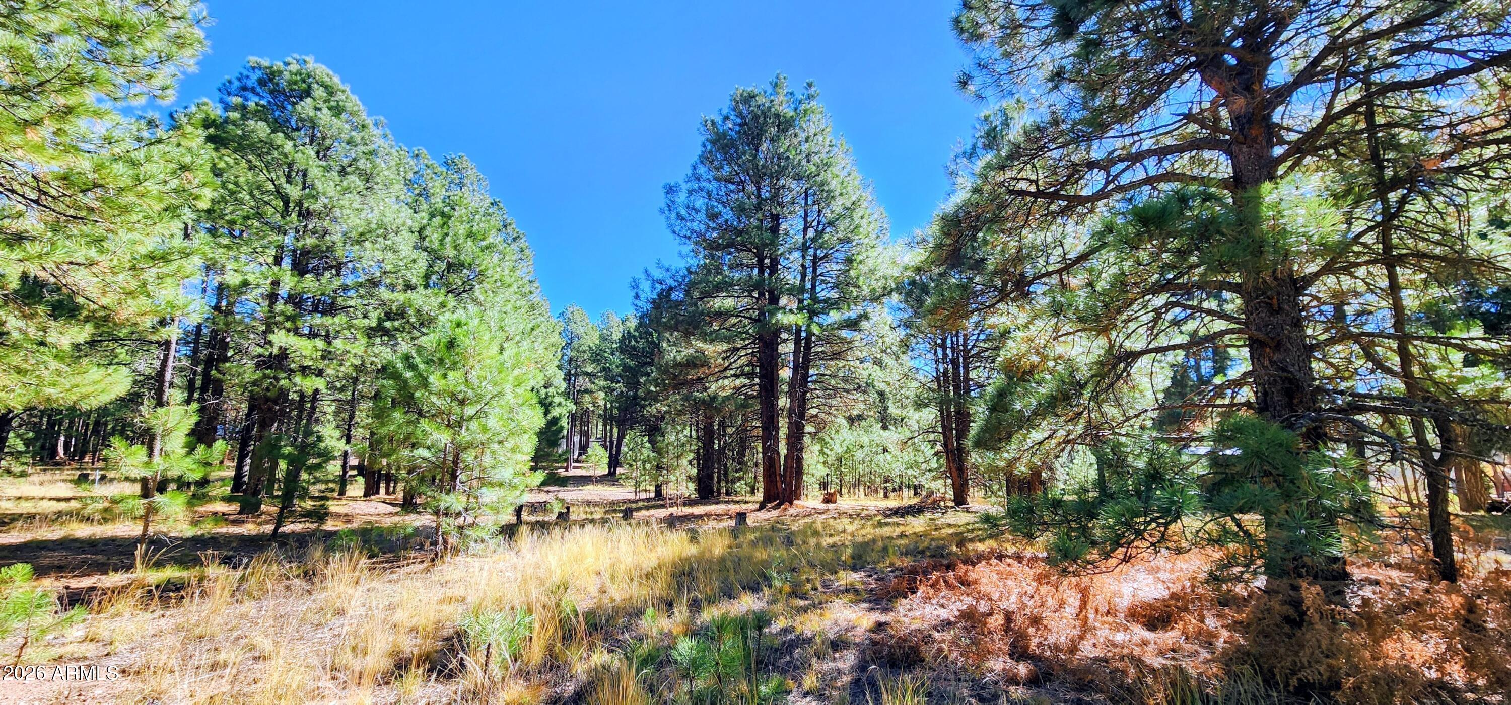 FOREST LAKES ESTATES UNIT 4 - Residential