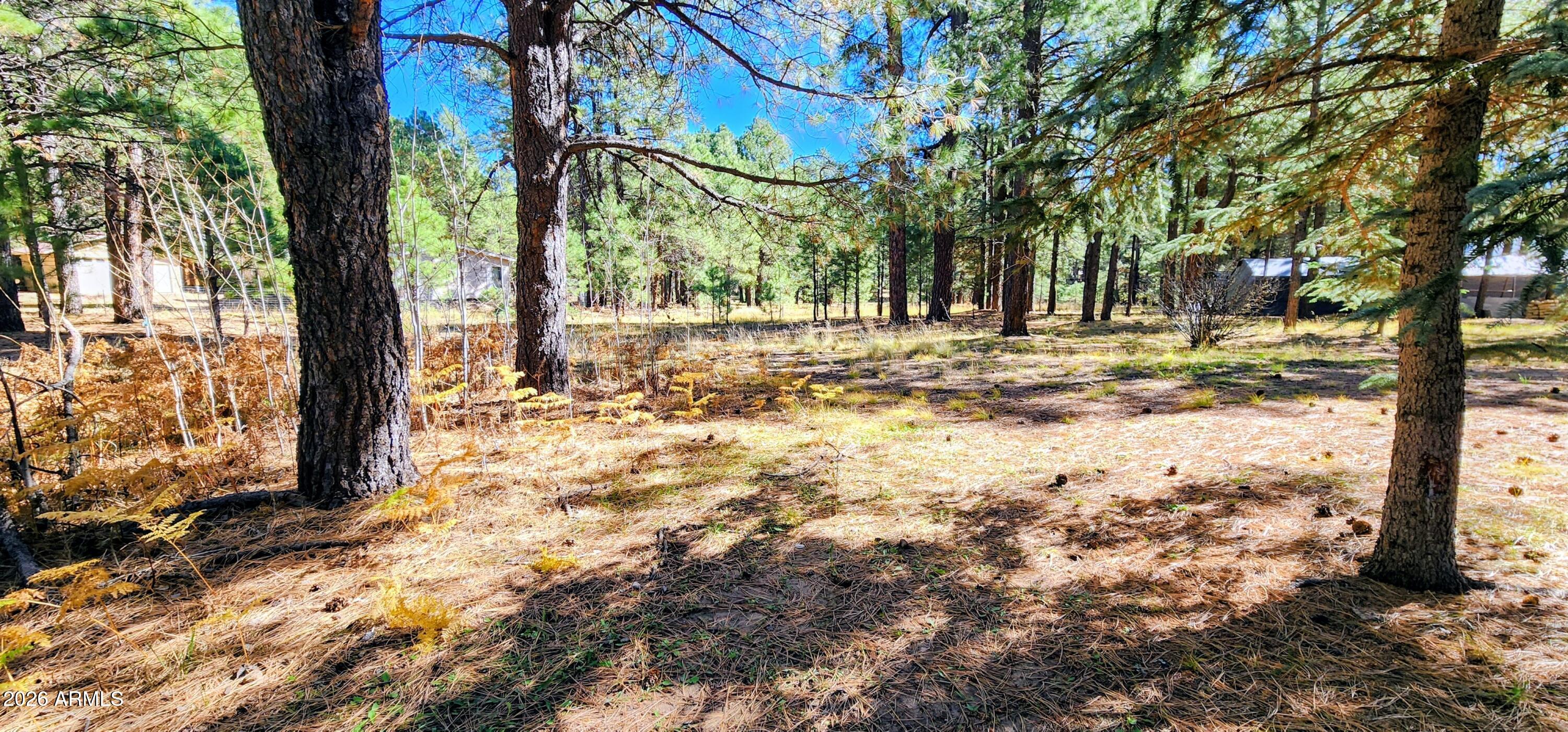 FOREST LAKES ESTATES UNIT 4 - Residential