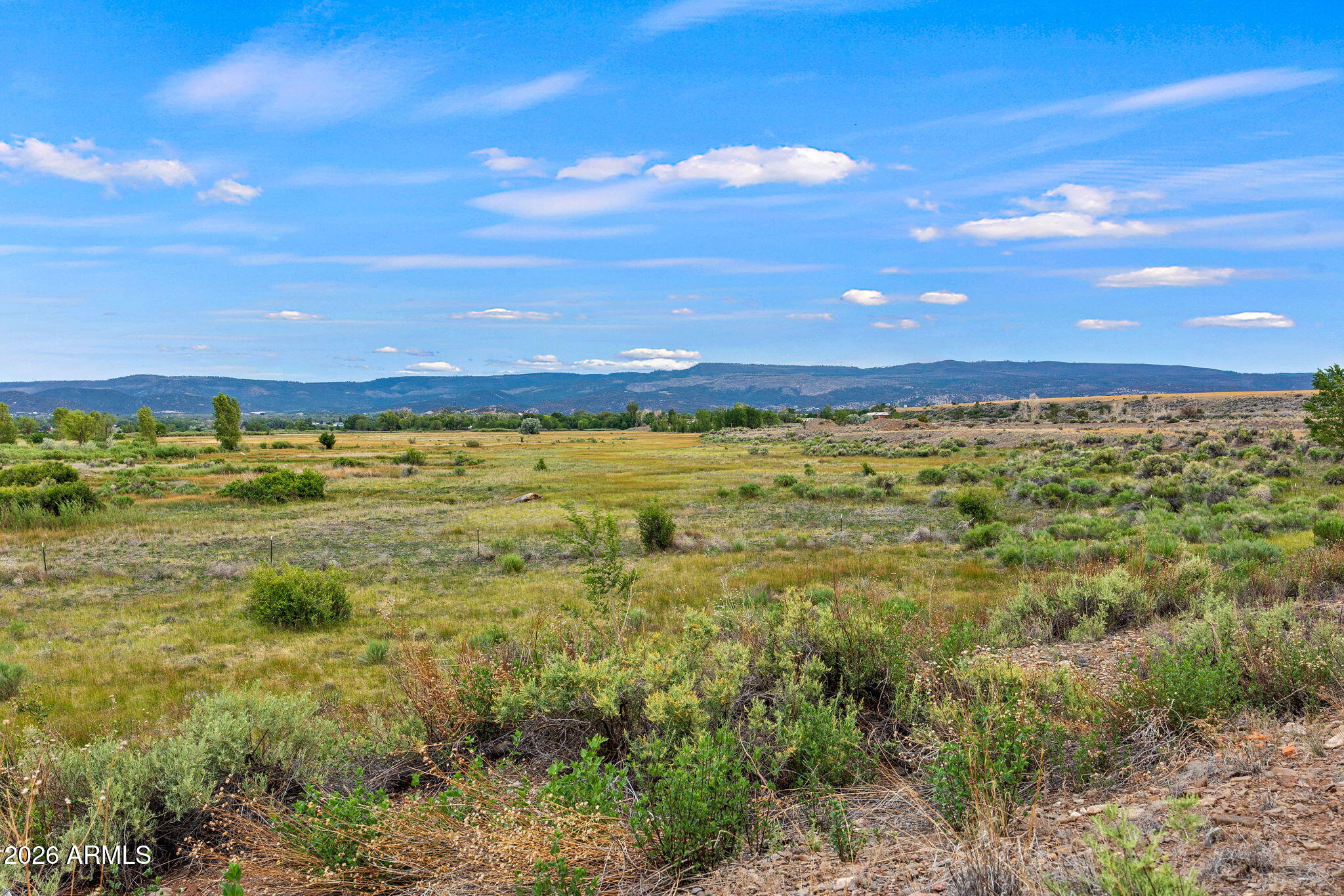 SPRINGERVILLE UNSUBDIVIDED - Residential