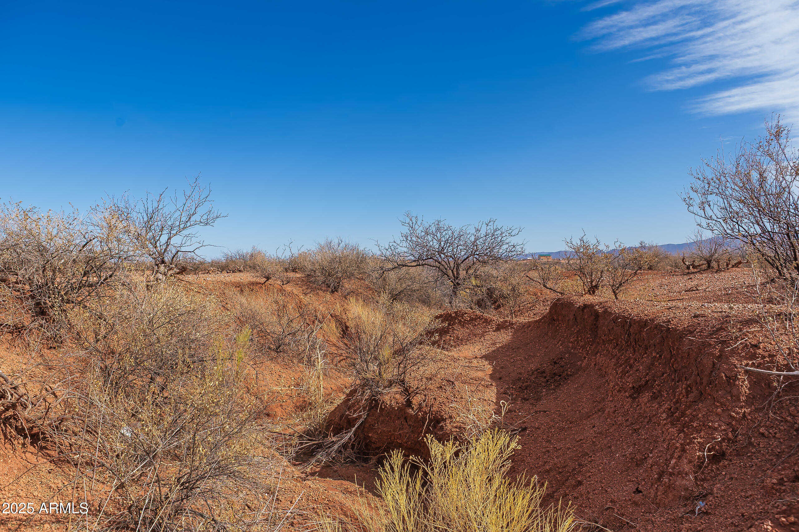 Palominas Ranches Lot 51 - Land