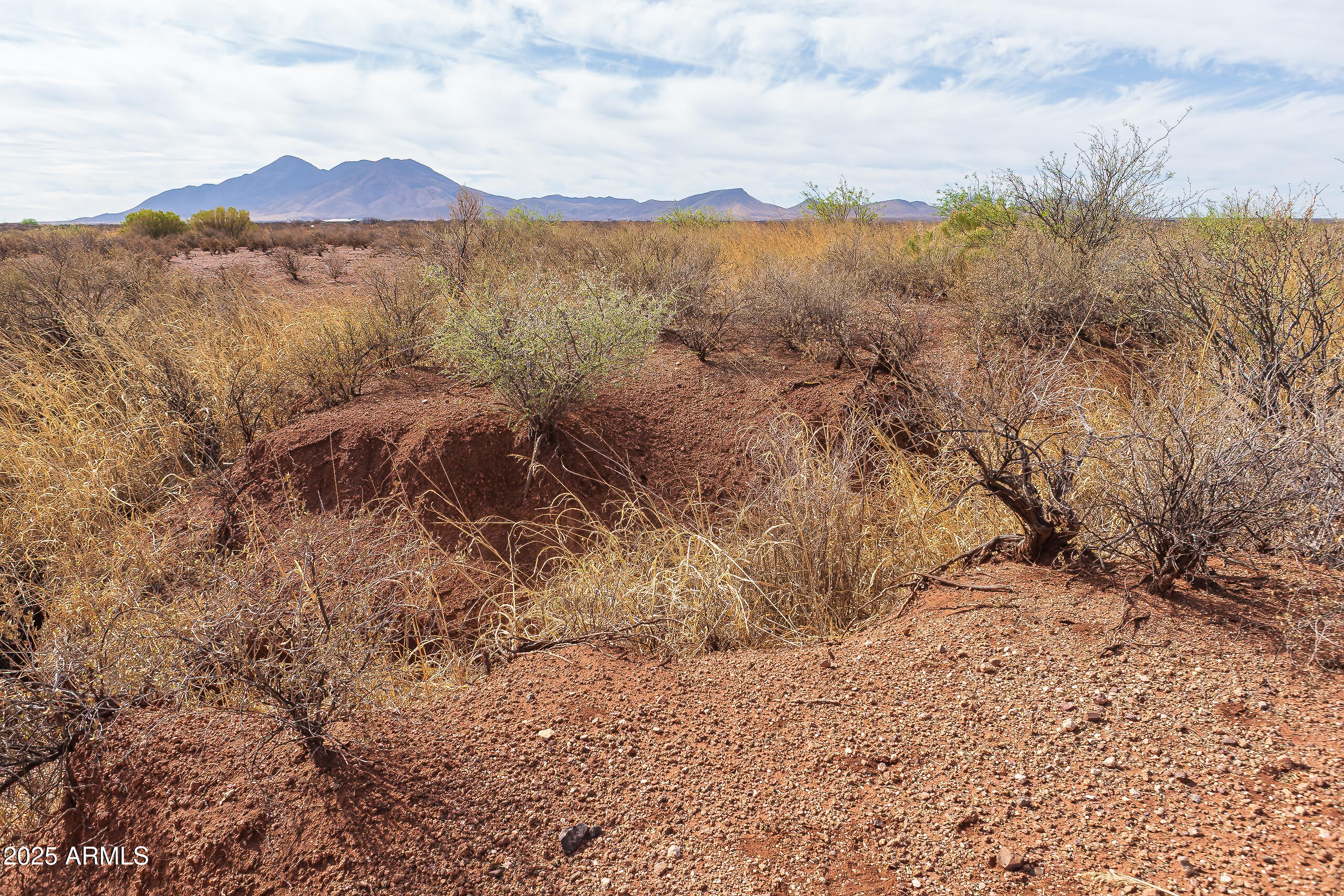 Palominas Ranches Lot 51 - Land