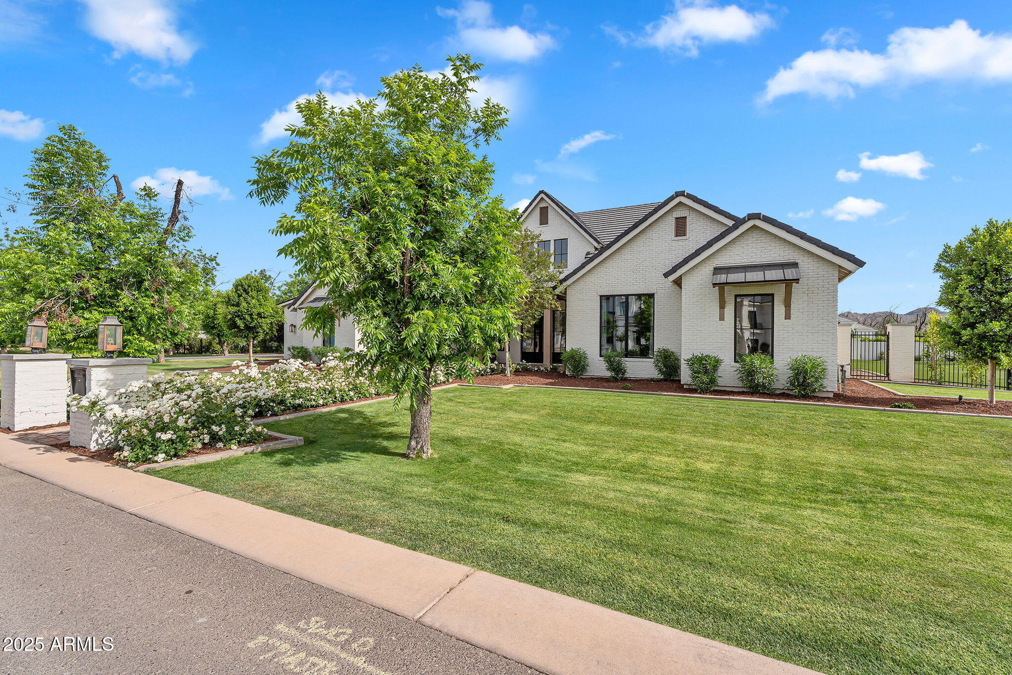 Pecans - Residential
