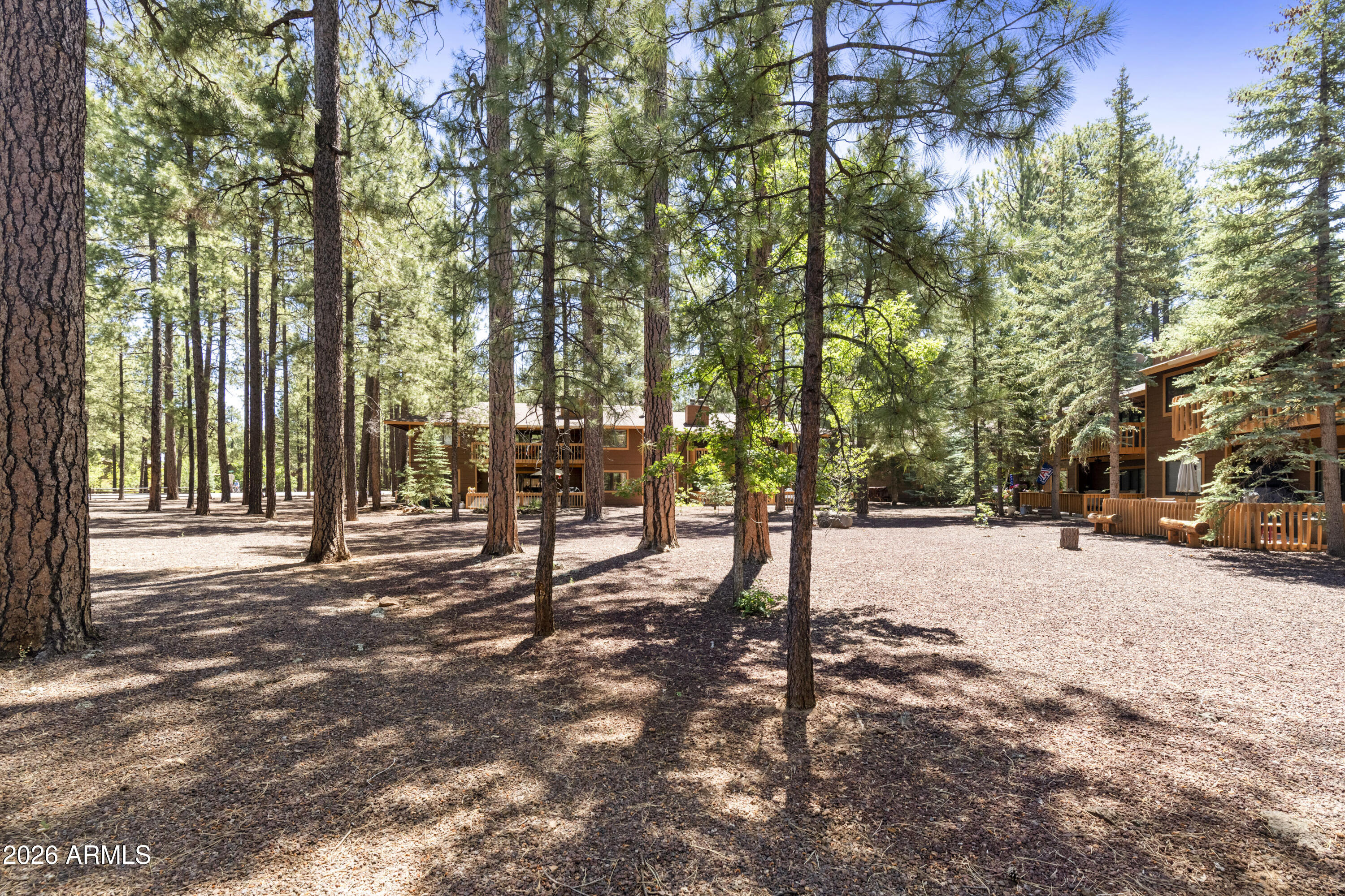 THE VILLAGE - Pinetop - Residential