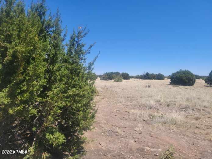 WHITE MOUNTAIN LAKES UNIT 1 - Land
