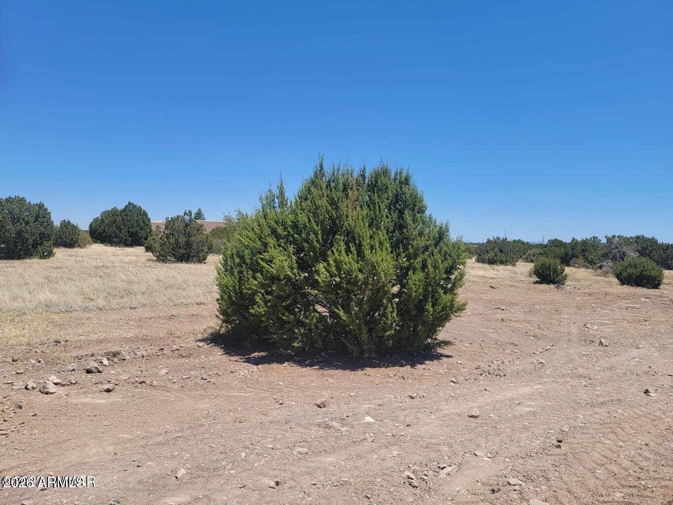 A BEAUTIFUL 0.41 ACRE OF LAND WITH GREAT VIEWS OF THE AREA! This is a Great Building Lot for a Site-built Home. Lake privileges included. All Utilities to the Lot Line Including Sewer and the Road are Paved! Don't Miss this Opportunity to live in a Great Area Where Neighboring Homes add Beauty to the Views!