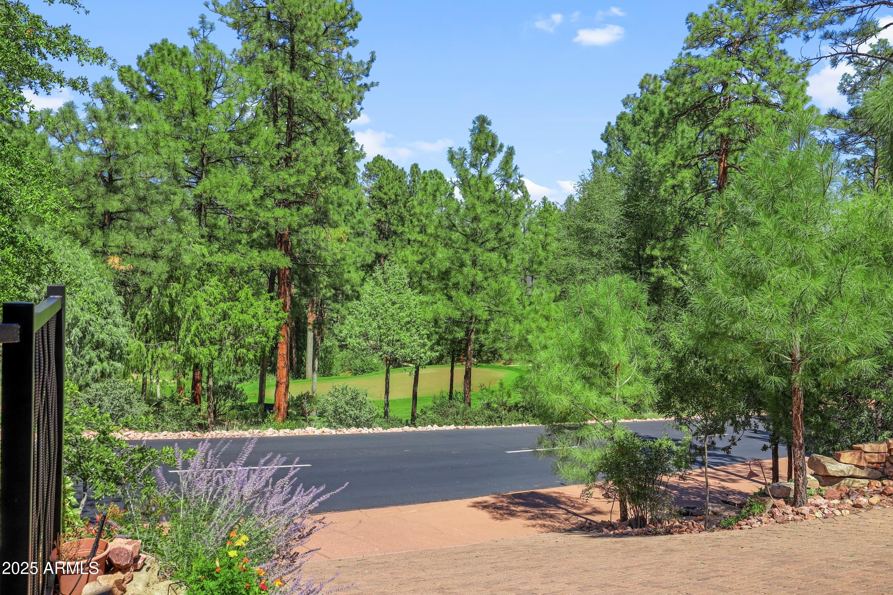 CHAPARRAL PINES PHASE 2 - Residential