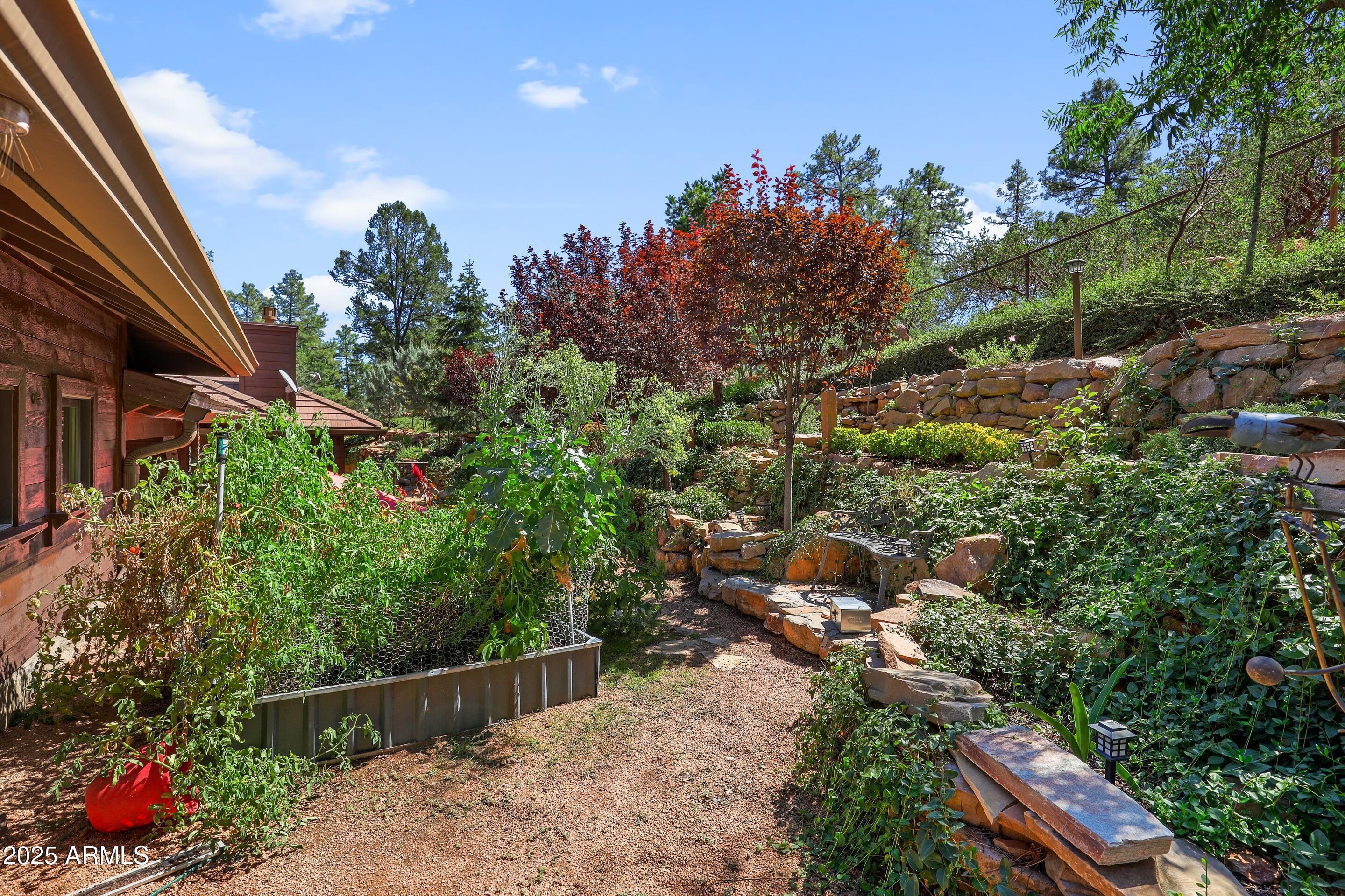 CHAPARRAL PINES PHASE 2 - Residential