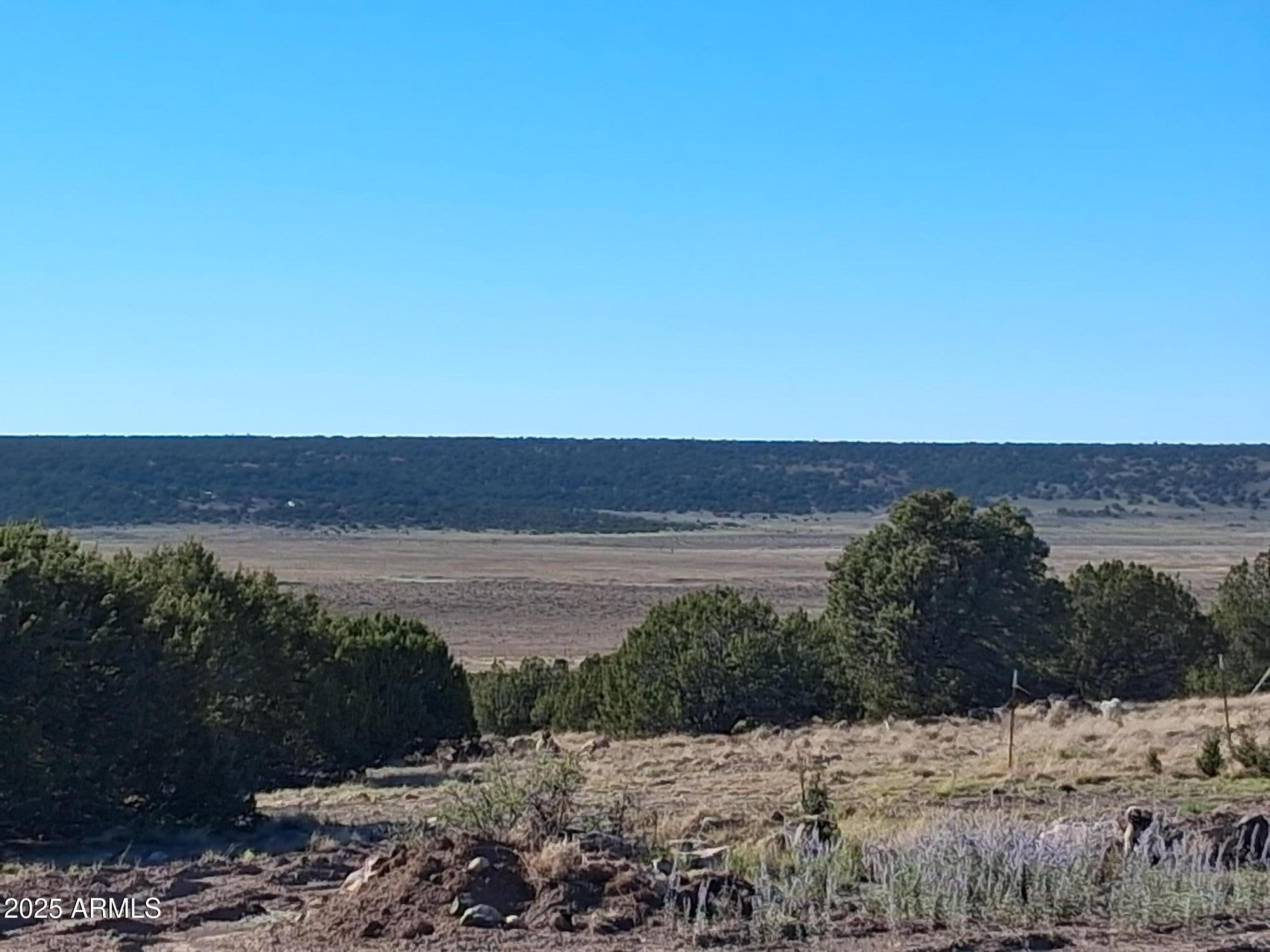 TAMARRON RANCH UNIT 9 - Land