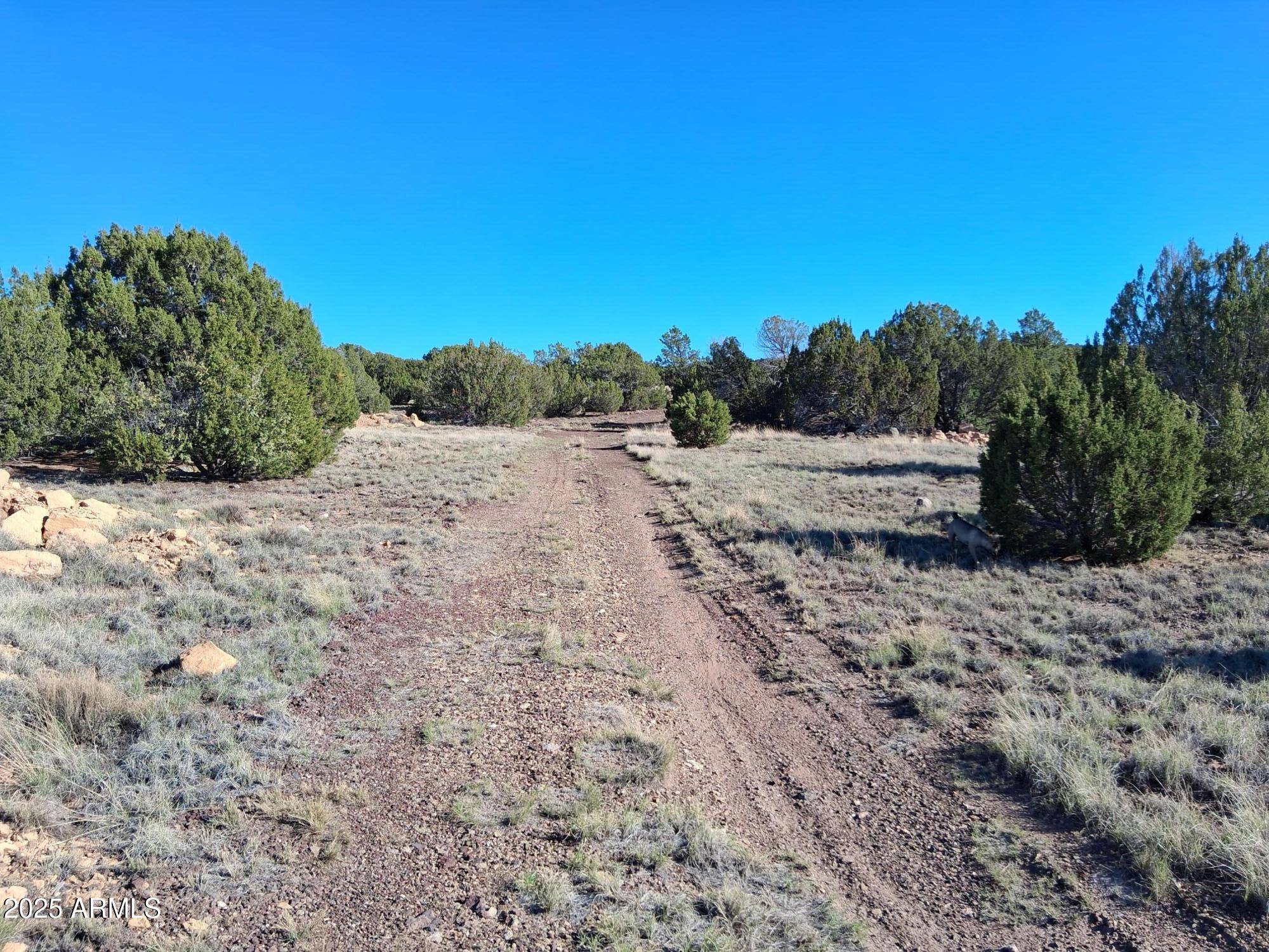 TAMARRON RANCH UNIT 9 - Land