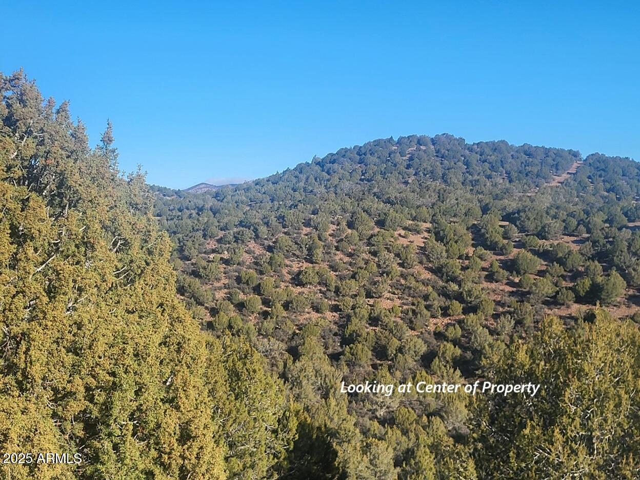 Westwood Ranches - Land