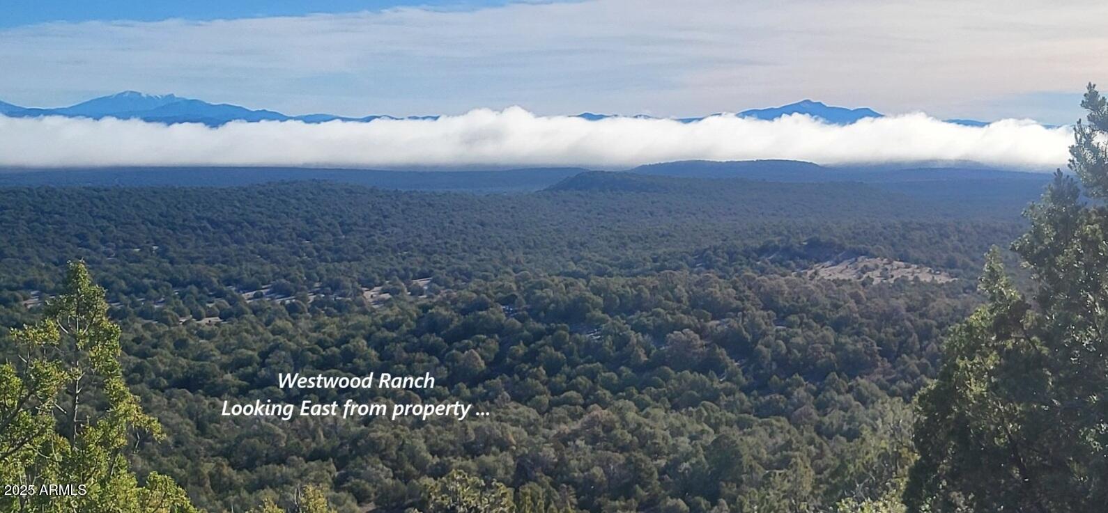 Westwood Ranches - Land