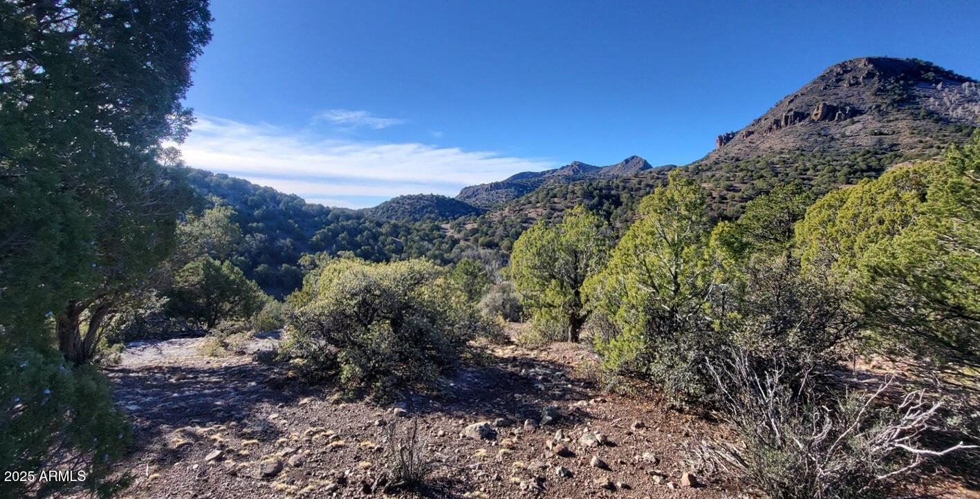 Westwood Ranches - Land