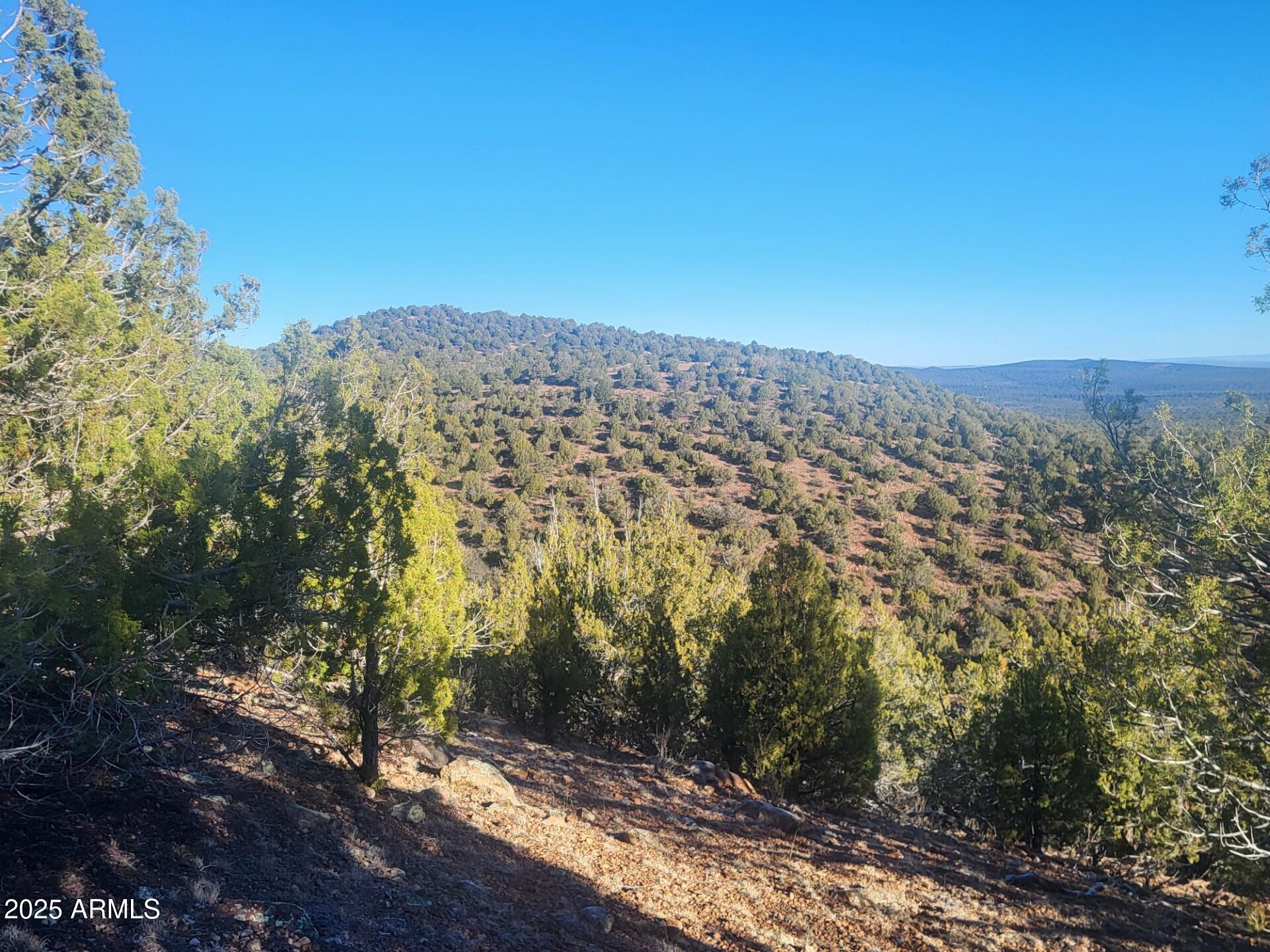 Westwood Ranches - Land