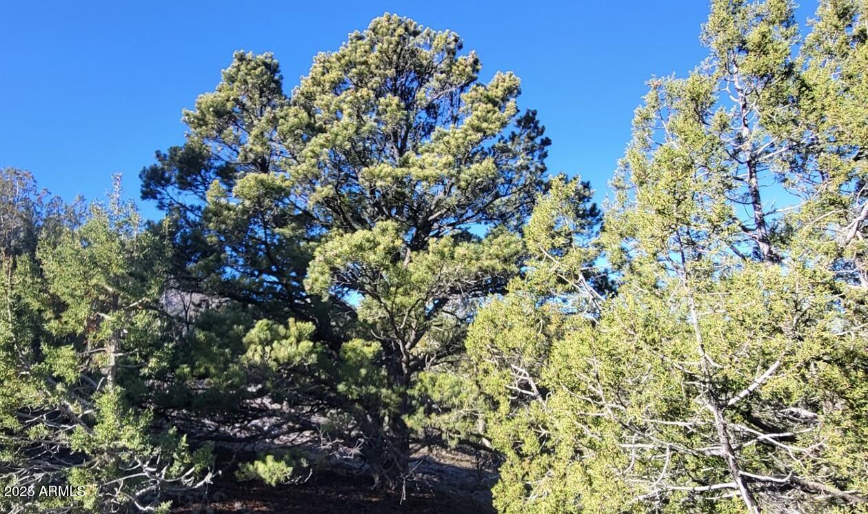 Westwood Ranches - Land