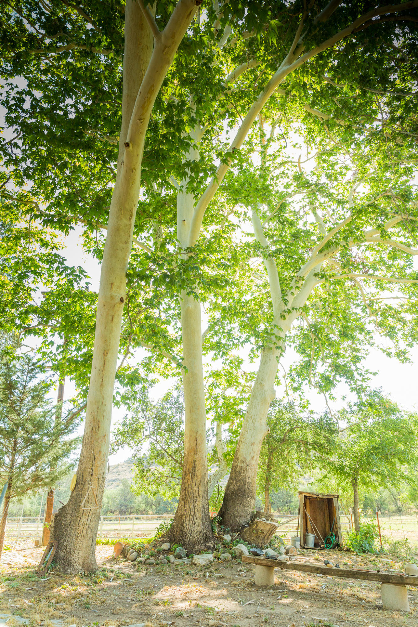 5 Acres or More - Residential