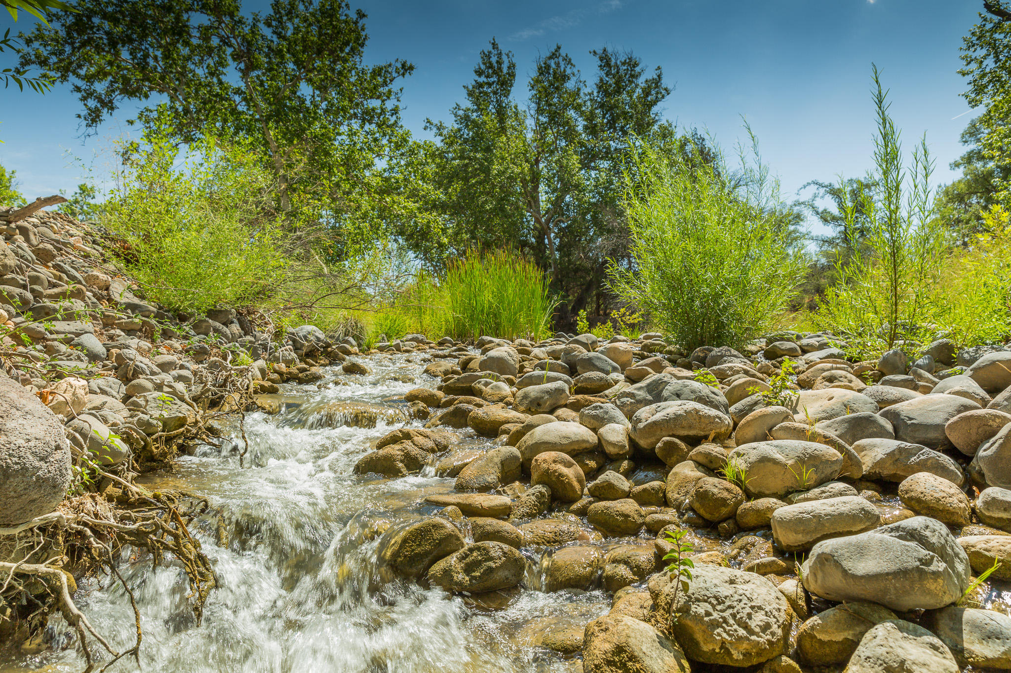 5 Acres or More - Residential