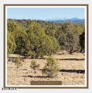 Great place to build your dream home or cabin or for a private camping spot for your family to ride their atv's on. Comes see it today. Easy access to Sedona, Flagstaff, Prescott and Jerome and all that northern AZ has to offer. Don't wait on this one! See it and make it yours.