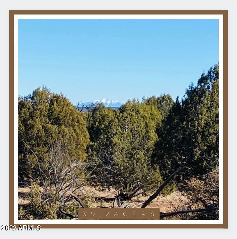 WESTWOOD RANCHES PHASE 5 - Land