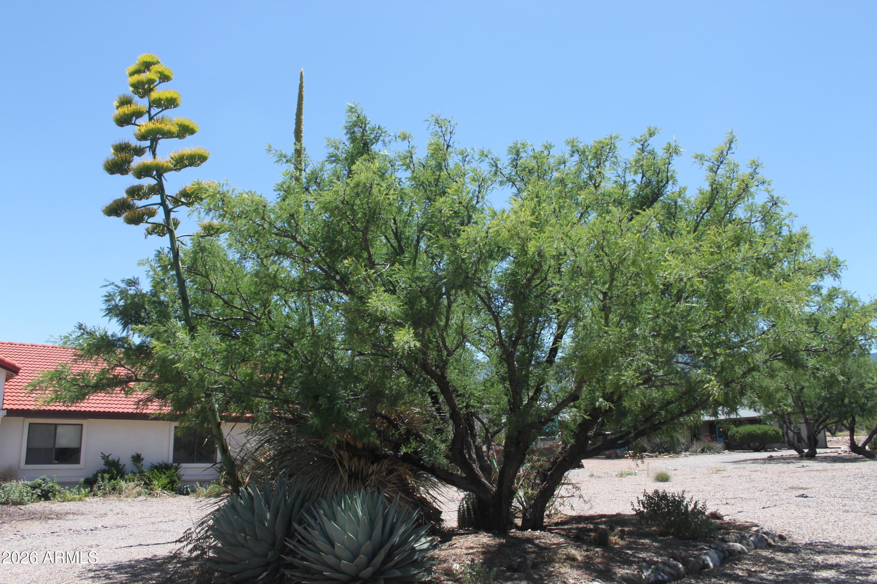 HUACHUCA MOUNTAIN VILLAGE A - Residential
