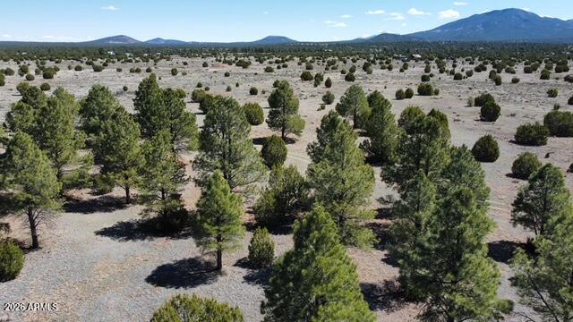 SPRING VALLEY RANCHES UNIT 2 - Land