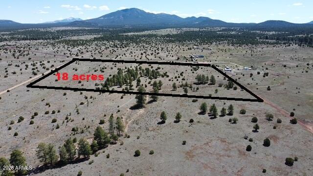 18.15 Acres of Poderosas, Clear sky's optimal for star gazing and beautiful mountain views. What else can you ask for ? 1/4 mile from Forrest Service land with well-maintained roads.  This lot hosts a forest landscape with Ponderosa Pines, Pinon Pines & Junipers. This property is split by a seasonal creek that flows west-east through the property in early spring.  Ideal Location for off grid living.