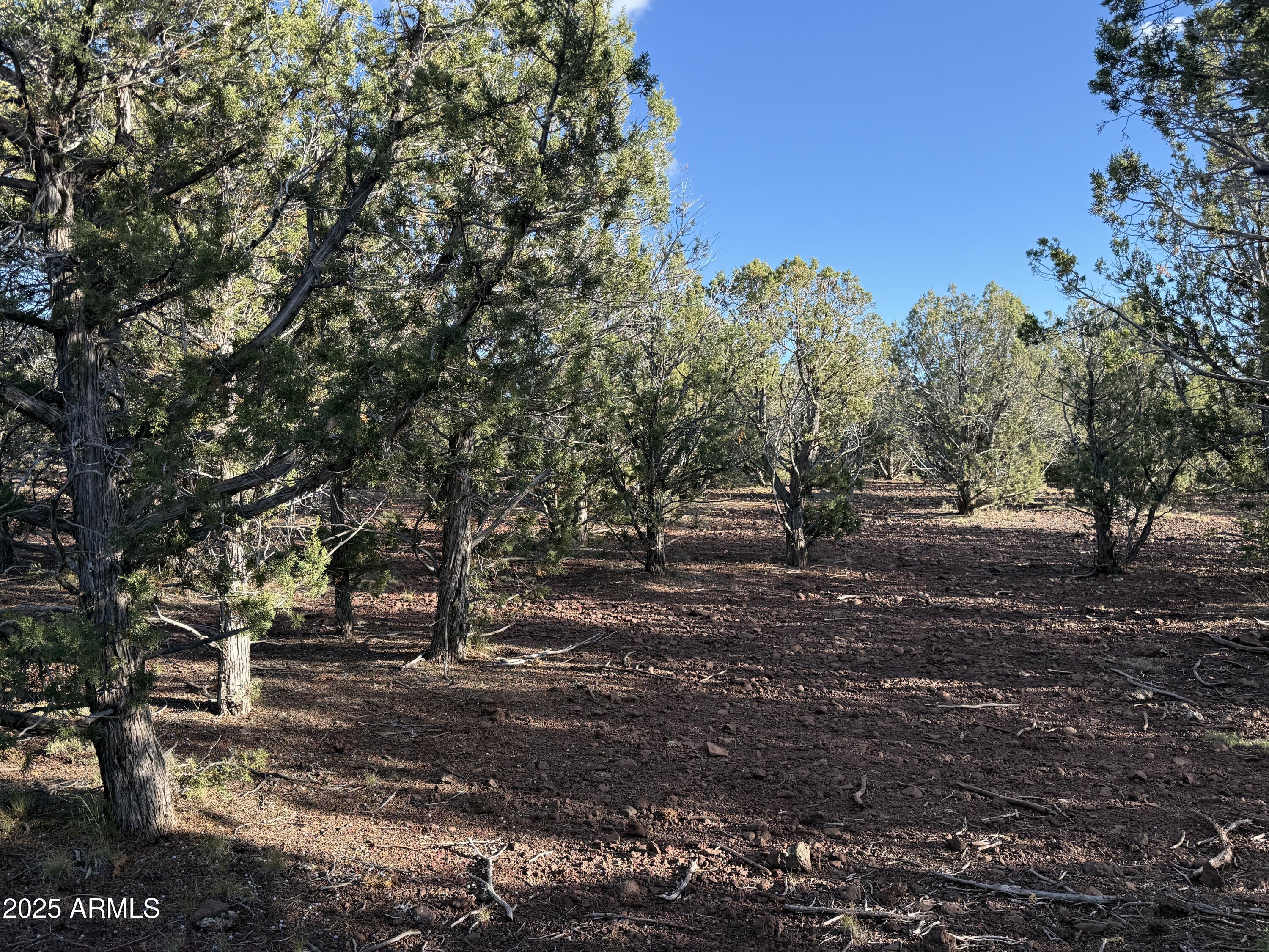 WESTWOOD RANCHES PHASE 4 - Land