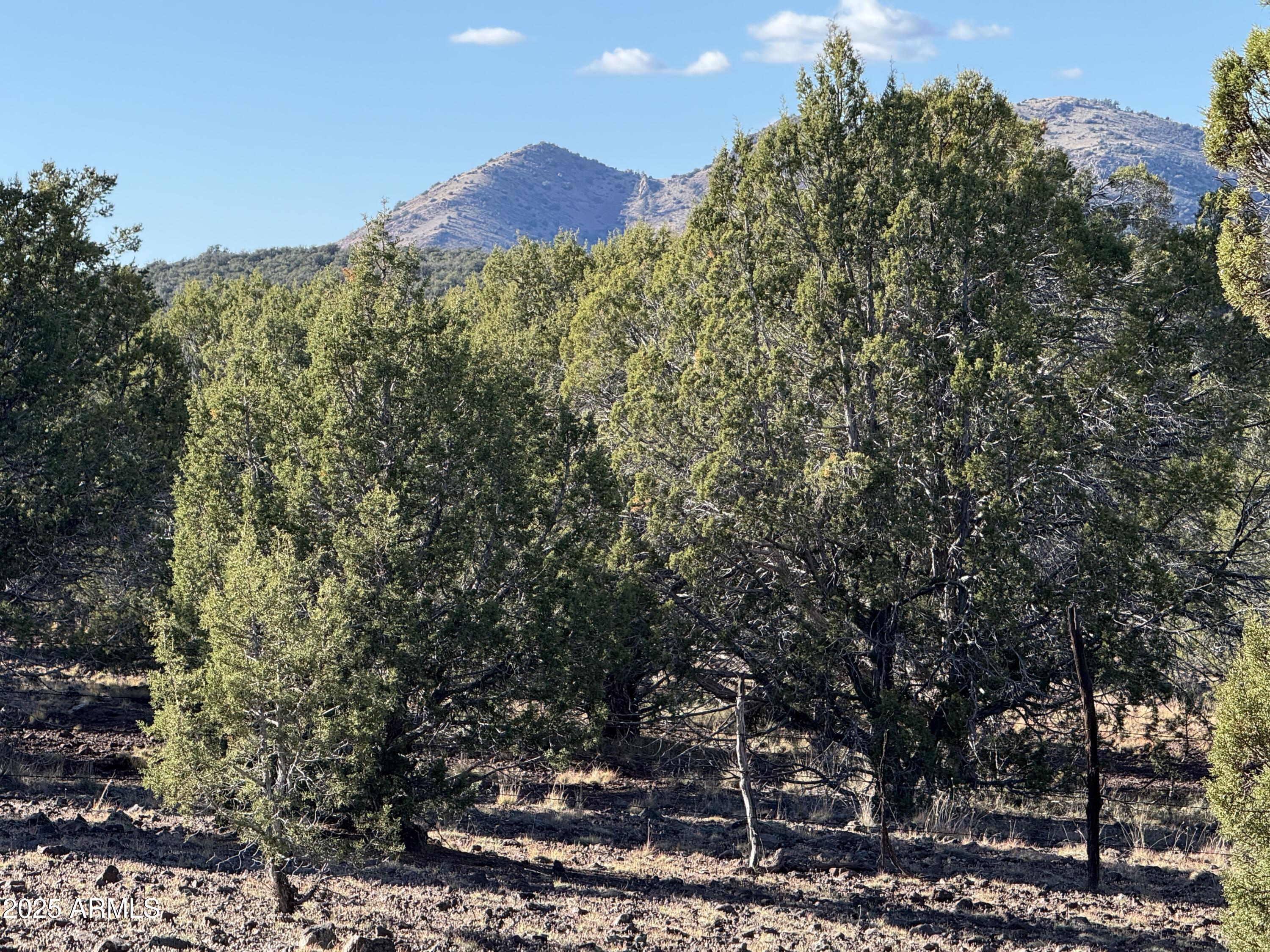 WESTWOOD RANCHES PHASE 4 - Land