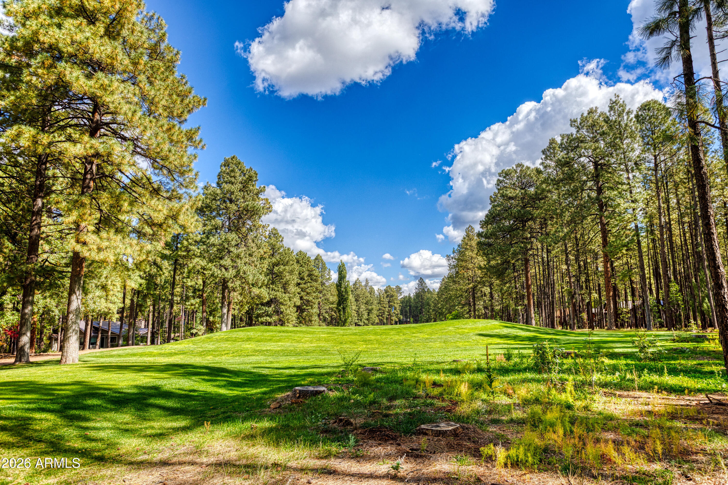 Pinetop Country Club - Residential