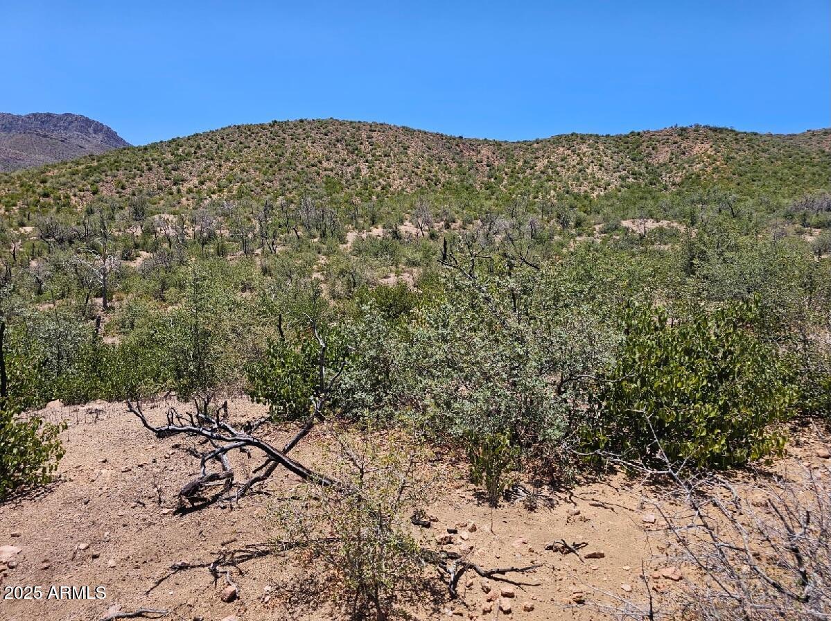 El Capitan - Land