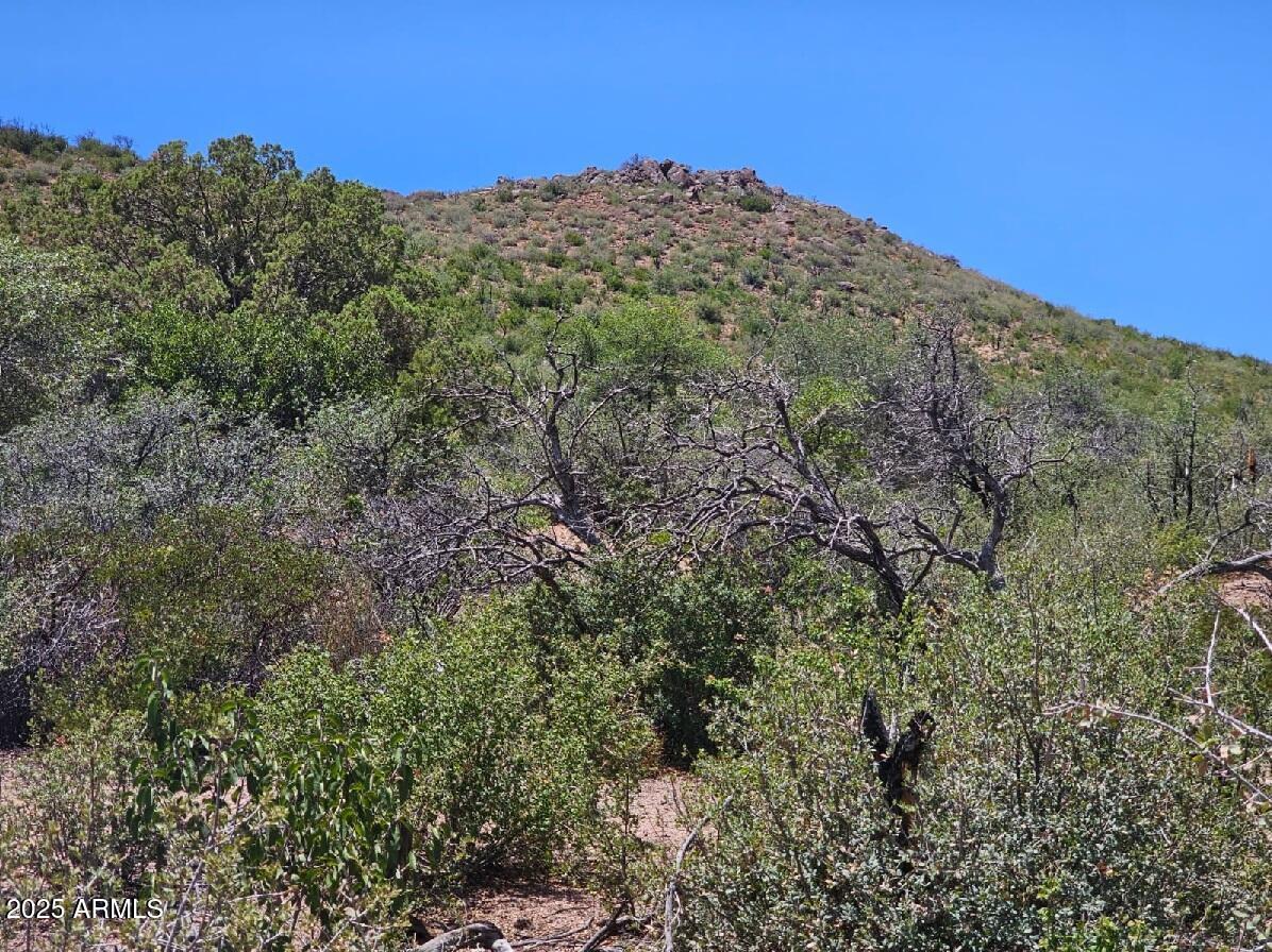 Off-Grid Land for Sale | 10-40 Acres | $18,000 per Acre

Discover your slice of mountain paradise with 10 to 40 acres of off-grid land nestled between the Pinal Mountains and the Mescal Mountains, offering unmatched privacy, panoramic views, and starry nights.

Located just 90 miles east of Phoenix and 90 miles north of Tucson, this unique property sits at a cooler 4,600' elevation, providing a welcome escape from the heat and a front-row seat to Arizona's natural beauty--including distant views of majestic Mt. Turnbull.

 - Land Features:
 - No HOA - freedom to create your dream
 - Off-grid location - ideal for solar, generator, or wind power
 - Needs private well & septic system
 - Natural vegetation: - oak, juniper, manzanita, sugar bush
