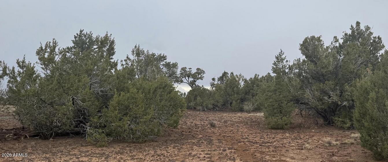 SHOW LOW PINES UNIT 4 - Land