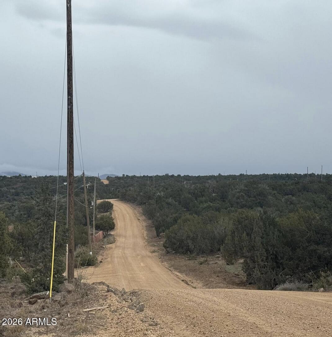 SHOW LOW PINES UNIT 4 - Land