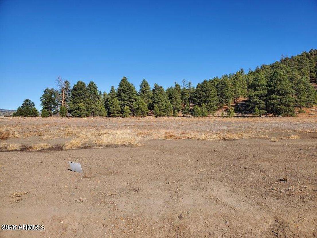 Rare Opportunity to Build Your Dream Home in Flagstaff's Premier Million-Dollar Community
10506 F.W. McLure Road | Flagstaff, Arizona | 1 Acre Lot

Imagine waking up every morning surrounded by the crisp mountain air of Northern Arizona's most sought-after luxury enclave. This stunning one-acre parcel on F.W. McLure Road offers one of the last chances to plant your roots in an established neighborhood where million-dollar custom estates already line the streets. This community has already proven its prestige, and is ready to welcome your vision.
At 7,000 feet elevation, Flagstaff delivers what so few places can: four distinct seasons, towering Ponderosa pines, and clean skies brushed with stars at night. This generously sized lot gives you the canvas and at an acre, most of it is buildable to design the custom home you've always envisioned, surrounded by neighbors who share your standards.
The hardest part of building in a luxury subdivision is choosing the right street. That work is already done here. The surrounding homes speak for themselves, with architectural showpieces valued well into the millions setting the tone for the entire neighborhood. Your investment is protected from day one.
Why this lot stands out:

One acre: room for a sprawling estate, workshop, guest house, or lush landscaping
Established luxury neighborhood: no guessing about what gets built next door
Flagstaff's unmatched lifestyle: skiing at Arizona Snowbowl, hiking the San Francisco Peaks, and the vibrant culture of a university city, all minutes away
Short drive to Phoenix: the ideal mountain escape with weekend accessibility for Valley residents
Cooler summers, real winters: a true escape from the desert heat.

Whether you're designing your forever home or a high-elevation retreat, this lot is your blank slate in a community that's already arrived. Opportunities like this don't wait.
Come see it before someone else builds their dream here first.