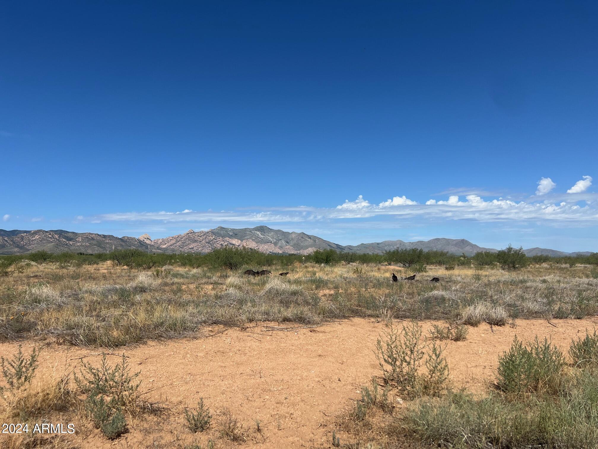 Majestic mountain views! Great property to build your dream home or start a farm or ranch!