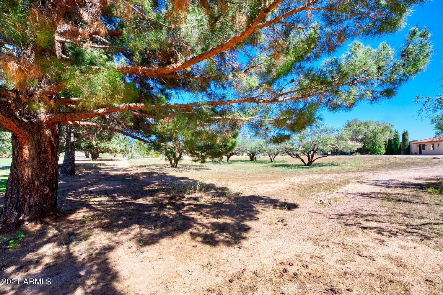 TRACT 111 - Land