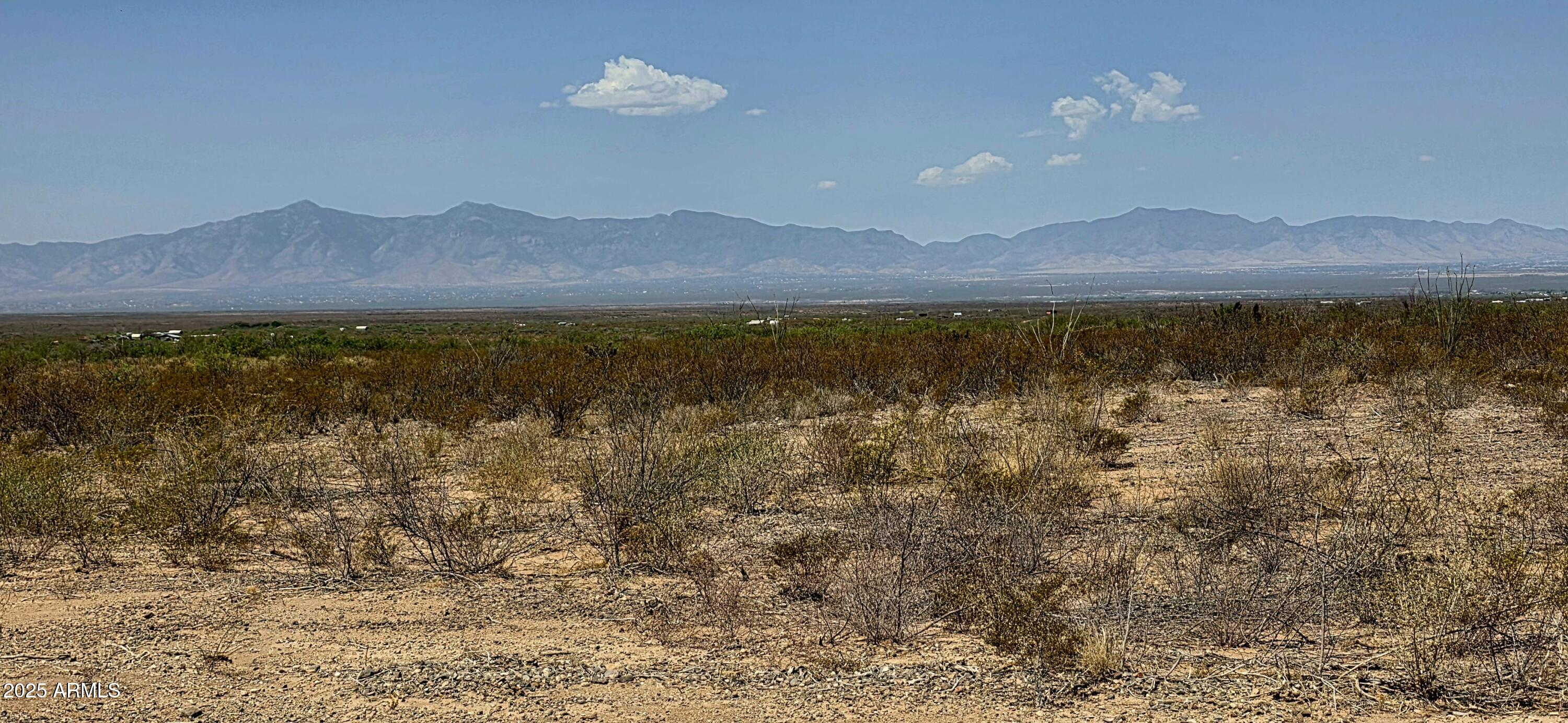 MULE MOUNTAIN RANCHES - Land