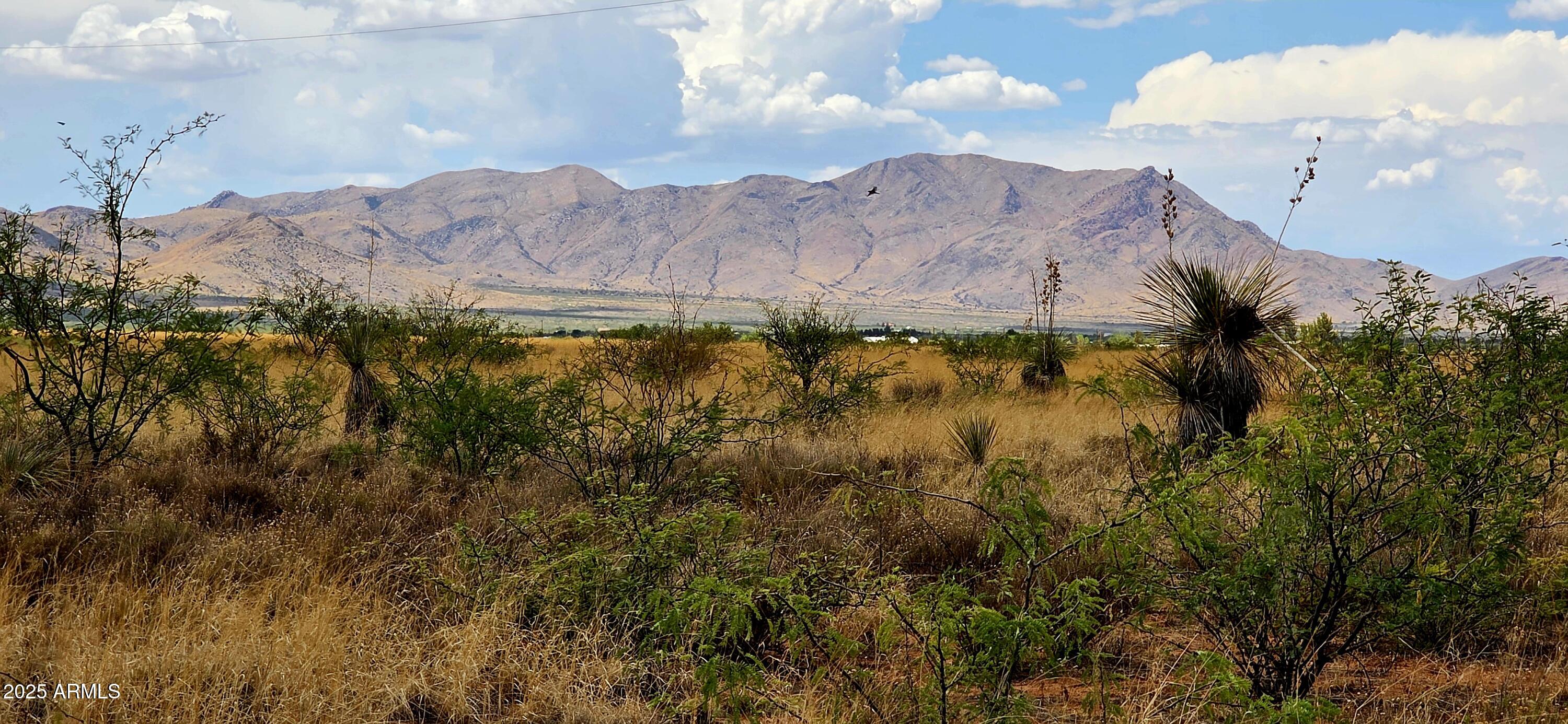 .827 acres in a quiet rural residential neighborhood. A corner lot, the land is level and the mountain views are spectacular! Electric is at property line. If more land is desired the contiguous parcel, #116-11-147, .83 acres is also for sale.  perfect for your site built home. Buyer to verify all facts and figures.