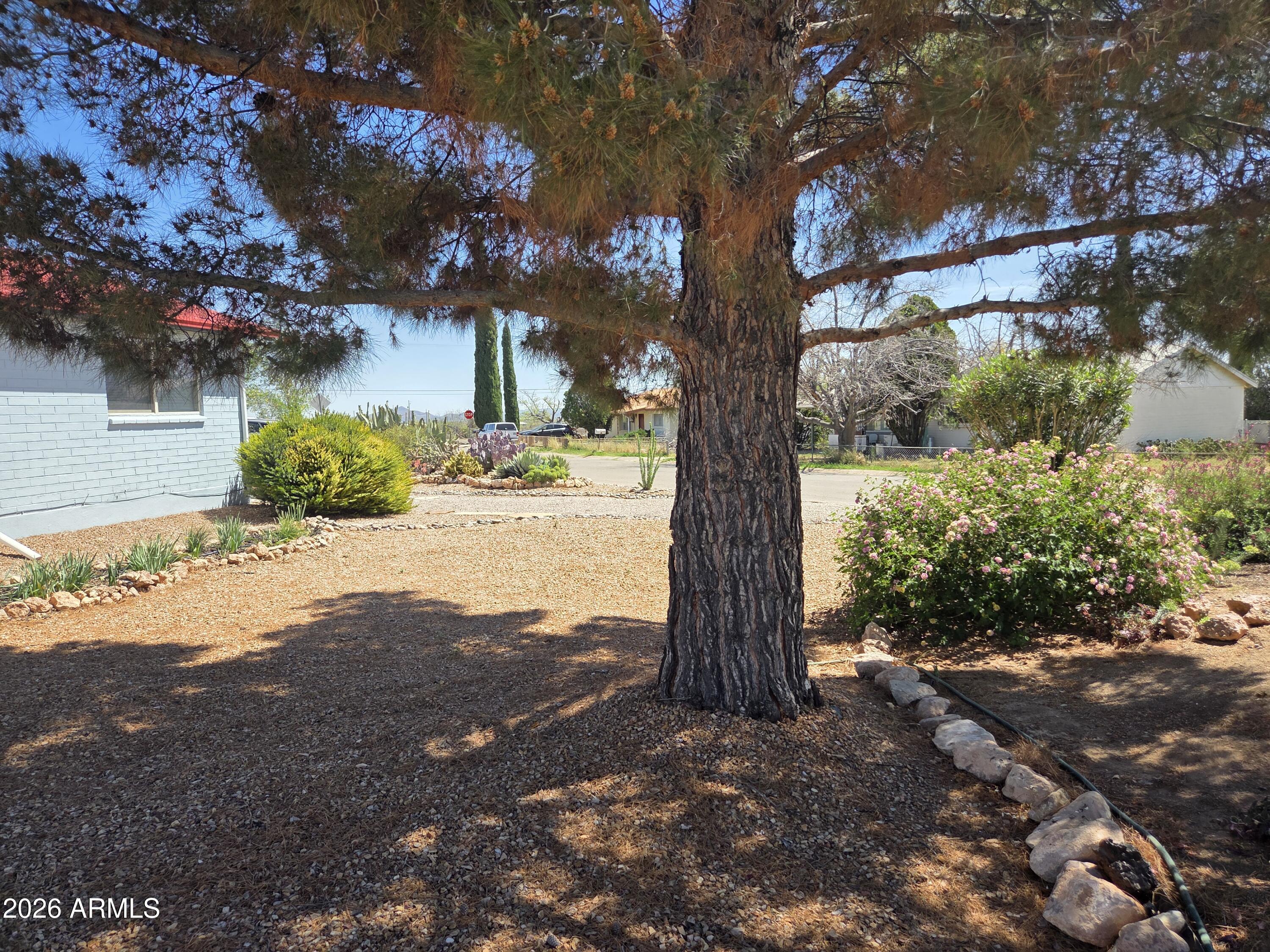 MOUNTAIN VIEW - Residential