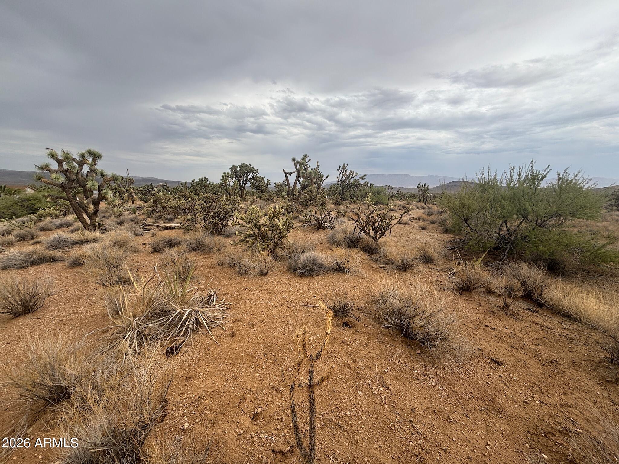 LAKE MOHAVE RANCHOS UNIT 13 - Land