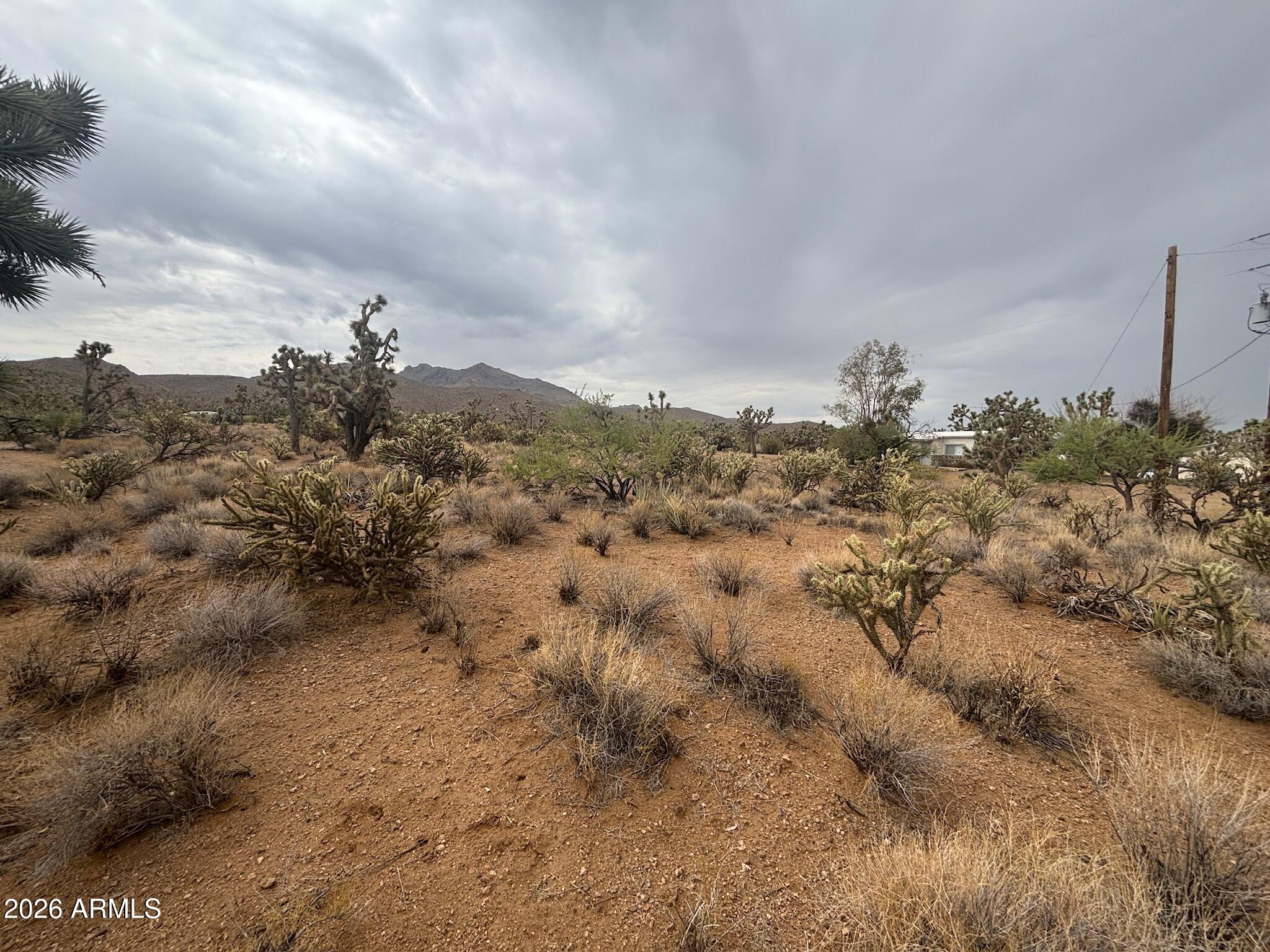 LAKE MOHAVE RANCHOS UNIT 13 - Land