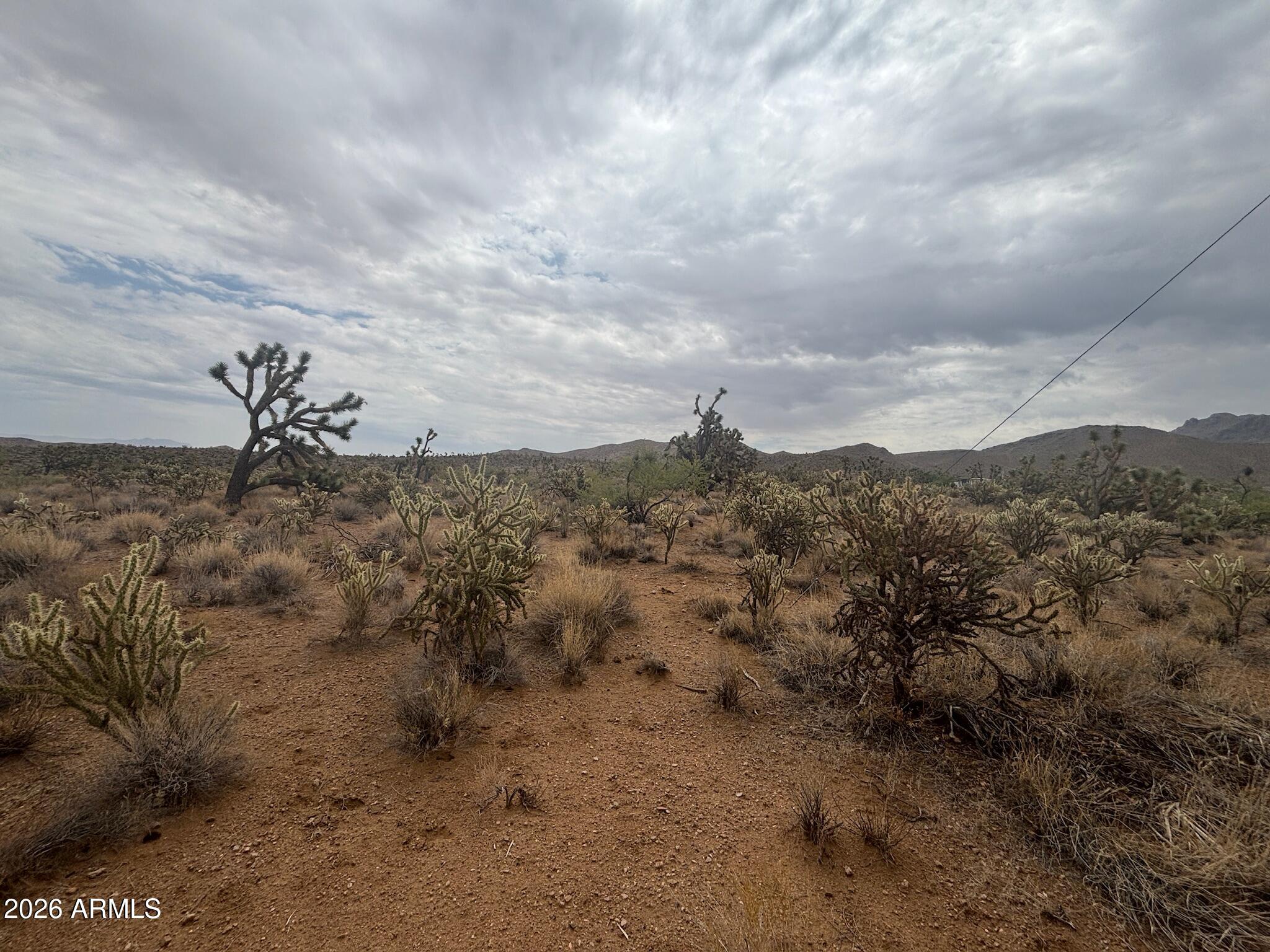 LAKE MOHAVE RANCHOS UNIT 13 - Land