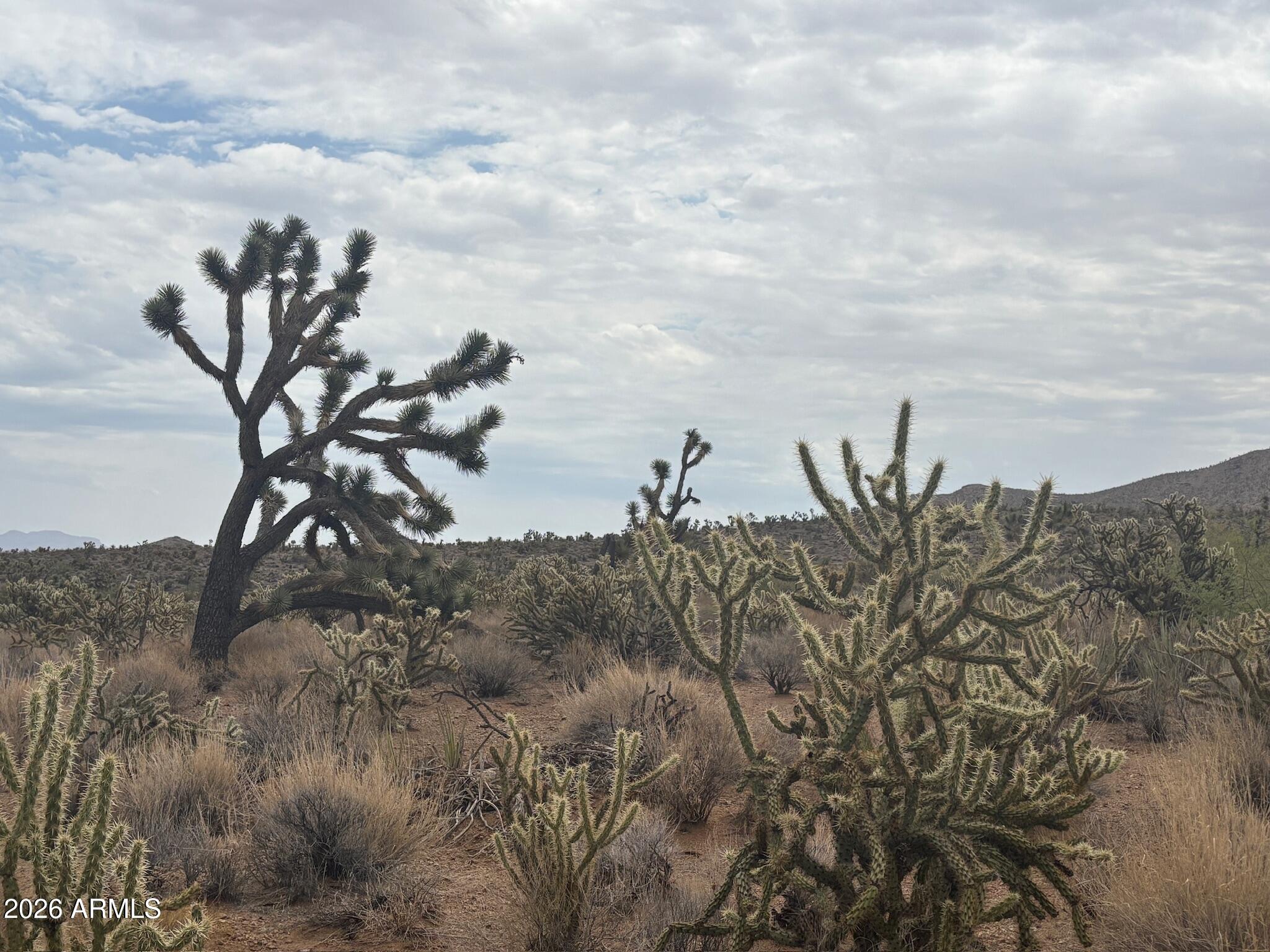 LAKE MOHAVE RANCHOS UNIT 13 - Land