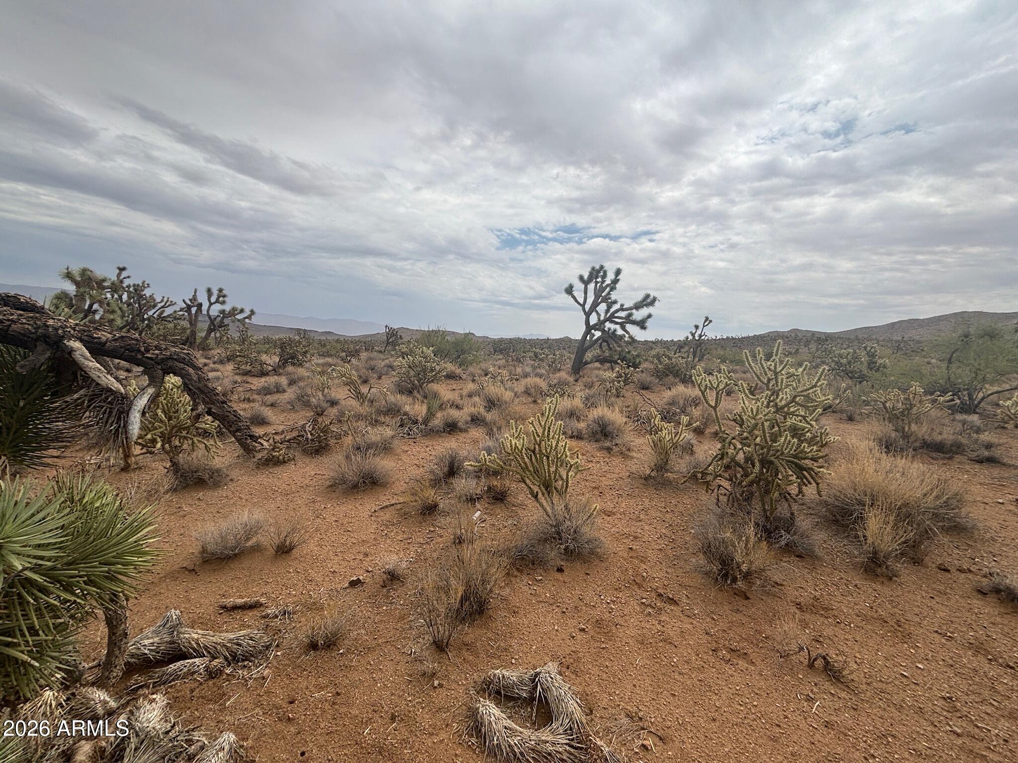 LAKE MOHAVE RANCHOS UNIT 13 - Land