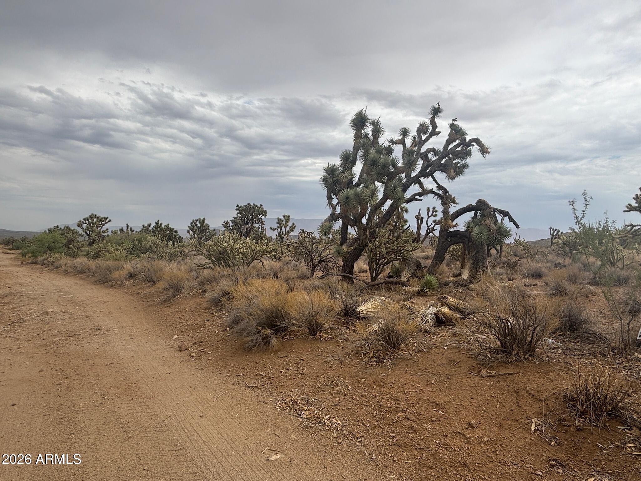 LAKE MOHAVE RANCHOS UNIT 13 - Land